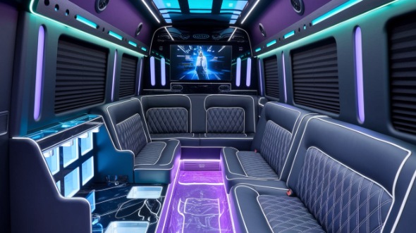 beaumont sprinter limo rental inside